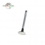 Inlet Valve Exhaust Valve CH11021 CH11022 for 2806 Engine