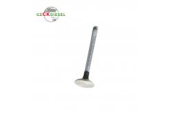 China Inlet Valve Exhaust Valve CH11021 CH11022 for 2806 Engine supplier
