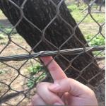 Protective Mesh 304 316 Stainless Steel Rope Decorative Mesh For Garden Areas for sale