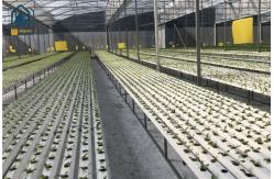 China Agricultural Lettuce Hydroponic Growing System NFT Vertical Hydroponic System supplier