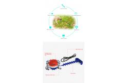 China Indestructible Natural TPR Dog Molar Chew Toy Toothbrush Drawstring Ball Multifunctional supplier