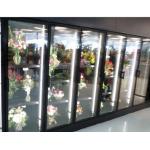 Floral Display Walk In Coolers walk in glass door cooler colored steel for sale
