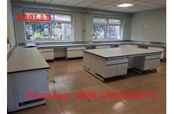 China Phenolic Resin Or Epoxy Resin Lab Benches Manufacturers With DTC105 DEG Hinges supplier