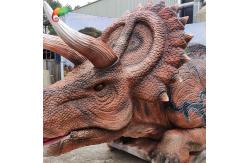 China Animatronic Triceratops Model For Theme Park Decoration supplier