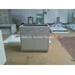 800*500*600mm Steel Lab Furniture , Powder Coated Metal Lab Cabinets for sale
