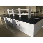 College Steel Chemistry Lab Furniture / Laboratory Workbench With Reagent Shelves for sale