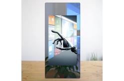 China 1920x1080 43in Smart Interactive Fitness Mirror With Mounting Rack supplier