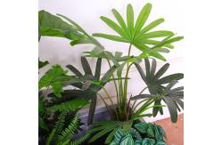 China Simulation Artificial Potted Floor Plants Silk Tree Bedroom Decoration supplier