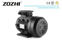 China Pressure Washer Hollow Shaft Motor Φ24mm Diameter -20C- 40C Ambient Temperature supplier