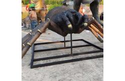China Botanical Park Realistic Animatronic Animals Spider Animatronic 2.5 meters supplier