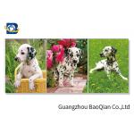 Lovely 3d Animal Picture With Black Frame , Lenticular 3d Stereograph Printing for sale