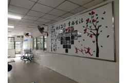 China PFM Dental Crown manufacturer