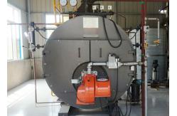 China 20t/H Fire Tube Pharmaceutical Gas Fired Steam Boiler supplier