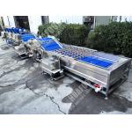 Fruit And Vegetable Washing Machine with Feathers and 220V Voltage for sale