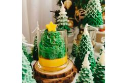 China High End Patience Nice Cute Durable Christmas Tree Candles supplier