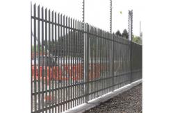 China W Section D Section Steel Metal Palisade Fencing Panels 60*60mm supplier
