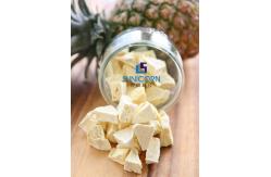 China Lyophilization 4KG Input Freeze Drying Equipment SUS304 supplier