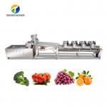 1000KG/H Fruit And Vegetable Processing Line Bubble Washing And Vibrating Drying for sale