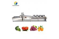China 1000KG/H Fruit And Vegetable Processing Line Bubble Washing And Vibrating Drying supplier