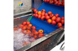 China Multifunction Fruit And Vegetable Processing Line Parallel Brush Machine supplier