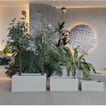 Large Rectangular Fiberglass Flower Pots Customized Size For Home Decor for sale