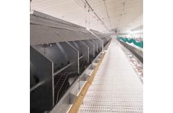 China 100% Pure PP Broiler 40mm Slatted Floor System In Poultry supplier