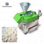 1000KG/H 80KG Multi-functional fruit slicer cutting lemon and cucumber fruit and vegetable processing equipment for sale