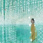 Led Dmx 3D Crystal Ball DMX 3D Pineapple Ball Lamp Led Stage Lights for sale