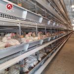 Complete Automatic Layer H Type Poultry Cage 380V Silver Color for sale