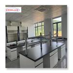 Classic Design Chemistry Lab Furniture with Modular Structure 1-5 Years for sale