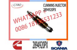 China Hot-selling new Diesel common rail Fuel Injector 2894920PX 2894920 supplier