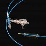 OEM ODM Digestive Tract Dilation Balloon Catheter Working Length 2300mm for sale