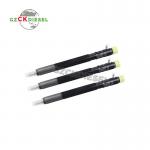 Common Rail Fuel Injector EJBR04401D A6650170221 for D27DT Engine