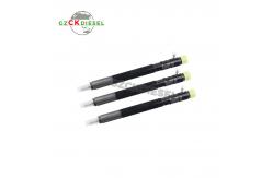 China Common Rail Fuel Injector EJBR04401D A6650170221 for D27DT Engine supplier