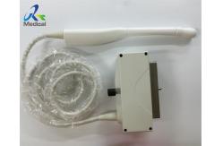China Obstetrics Gynaecology Compatible Ultrasound Probe Intra Cavity Transducer EC123 supplier