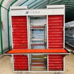 Hot Galvanized Commercial Chicken Layer Cage Silver Color for sale