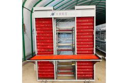 China 90 Layer Chicekns HDG Battery Layer Chicken Cage System H supplier