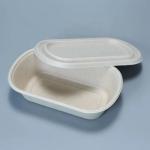 Sugarcane Eco Friendly Biodegradable Plates Food Packaging 1100ml Custom Logo for sale