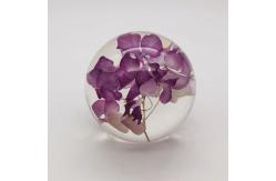 China Real Flower Paperweight Dia80mm With Hydrangea Inside supplier