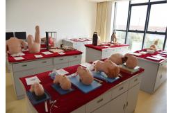 china First Aid Manikins exporter