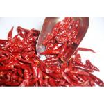 Stemless Chinese Dried Chili Peppers 819 High SHU Dried Hot Chillies for sale
