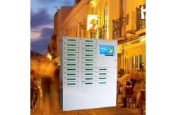 China Remote Advertising Vertical Cell Phone Station Network Digital Signage 24 doors supplier
