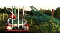 China Sturdy UV Resistant Bird Netting 40M Fruit Tree Bird Netting Customized supplier