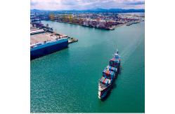 China A Class Sea Freight Forwarding DDP From China To Thailand supplier
