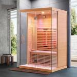 Indoor Luxury Spa Keep Body Health Steam and Infrared Sauna 1900W for sale