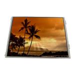 LTM13C308 13.3 inch 1024*768 TFT-LCD Screen Display for sale