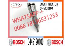 China 0445120022 0445120024 New Common Rail Injector 51101006049 0445120042 0445120100 supplier