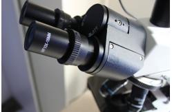 China Cheapest Portable Binocular Biological Microscope with Camera supplier