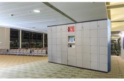 China Keyless Indoor Parcel Delivery Electronic Locker Digital Signage Office Building Apartment Use supplier