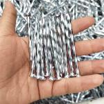 ODM 2.5 Inch Concrete Steel Nail Electro Galvanized Steel Nails for sale
